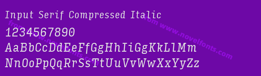 Input Serif Compressed ItalicPreview Input Serif Compressed ItalicPreview