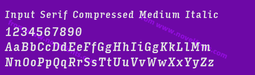 Input Serif Compressed Medium ItalicPreview Input Serif Compressed Medium ItalicPreview