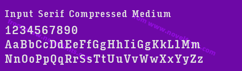 Input Serif Compressed MediumPreview Input Serif Compressed MediumPreview