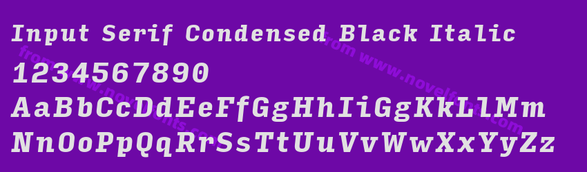 Input Serif Condensed Black ItalicPreview Input Serif Condensed Black ItalicPreview