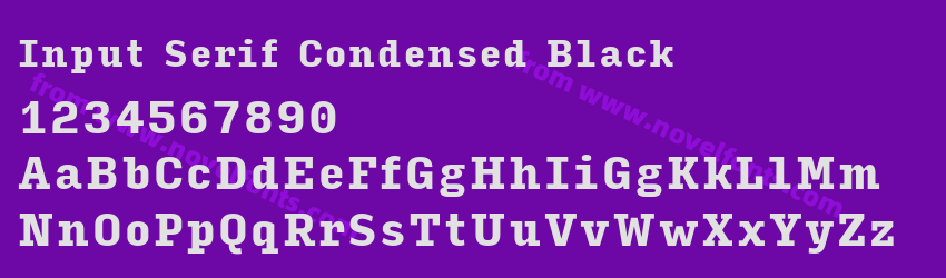 Input Serif Condensed BlackPreview Input Serif Condensed BlackPreview