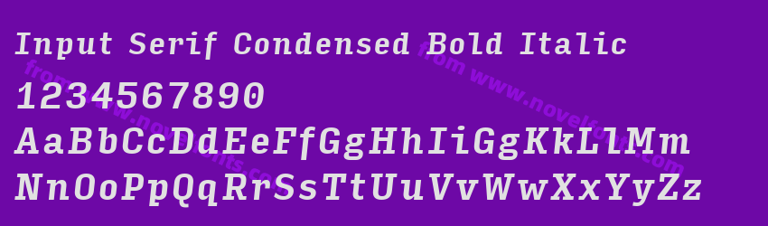 Input Serif Condensed Bold ItalicPreview Input Serif Condensed Bold ItalicPreview
