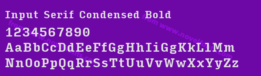 Input Serif Condensed BoldPreview Input Serif Condensed BoldPreview