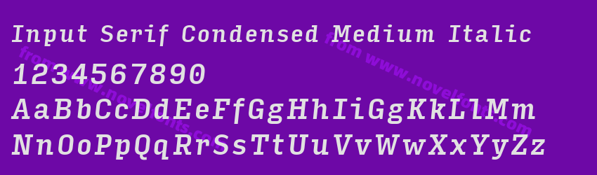 Input Serif Condensed Medium ItalicPreview Input Serif Condensed Medium ItalicPreview