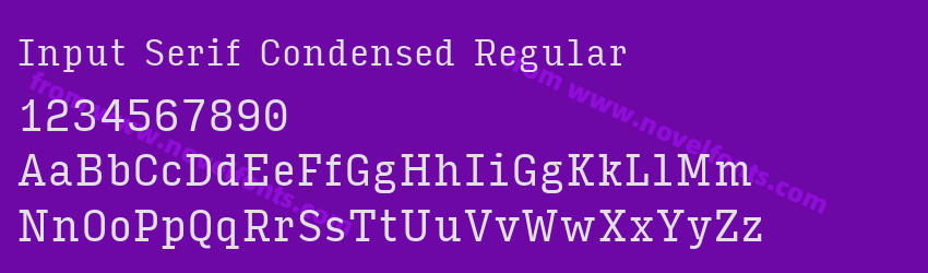 Input Serif Condensed RegularPreview Input Serif Condensed RegularPreview