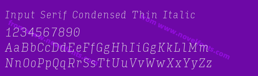 Input Serif Condensed Thin ItalicPreview Input Serif Condensed Thin ItalicPreview