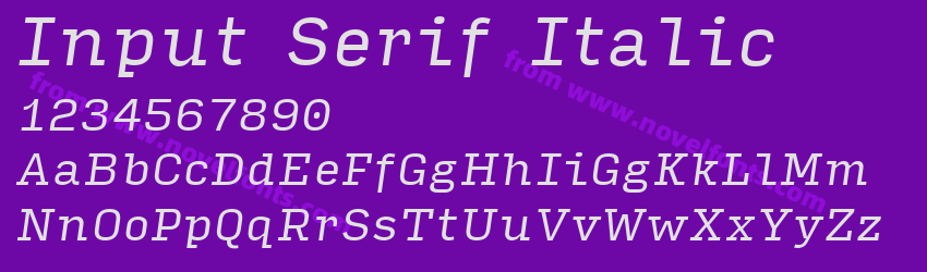 Input Serif ItalicPreview Input Serif ItalicPreview