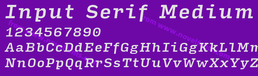 Input Serif Medium ItalicPreview Input Serif Medium ItalicPreview