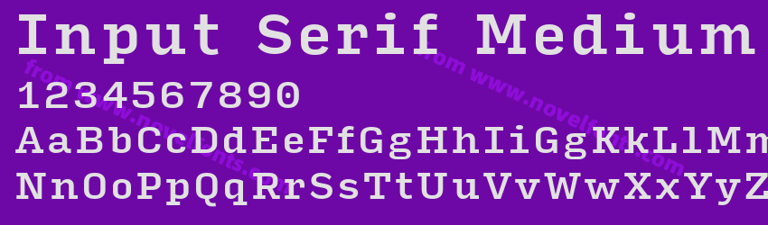 Input Serif MediumPreview Input Serif MediumPreview