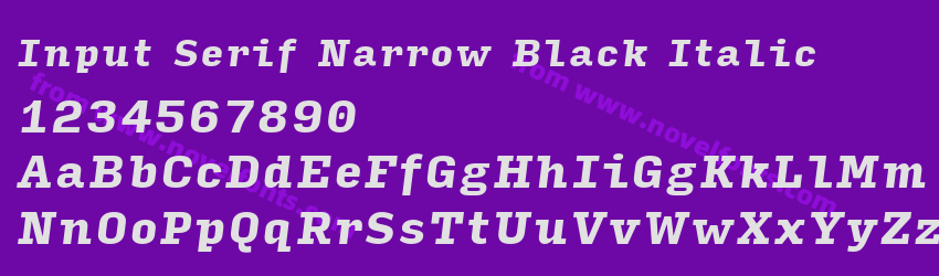 Input Serif Narrow Black ItalicPreview Input Serif Narrow Black ItalicPreview