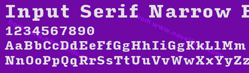Input Serif Narrow BlackPreview Input Serif Narrow BlackPreview