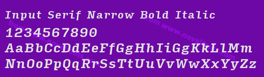Input Serif Narrow Bold ItalicPreview Input Serif Narrow Bold ItalicPreview