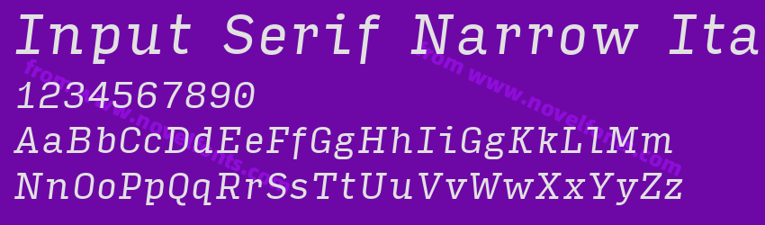 Input Serif Narrow ItalicPreview Input Serif Narrow ItalicPreview