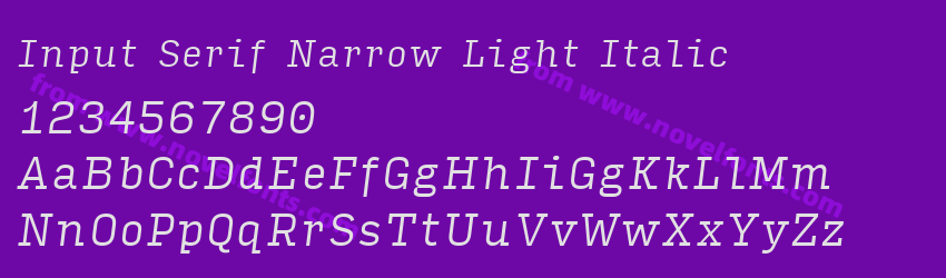 Input Serif Narrow Light ItalicPreview Input Serif Narrow Light ItalicPreview