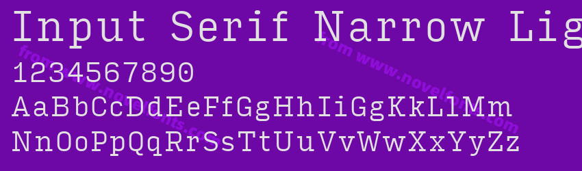 Input Serif Narrow LightPreview Input Serif Narrow LightPreview