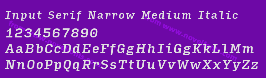 Input Serif Narrow Medium ItalicPreview Input Serif Narrow Medium ItalicPreview