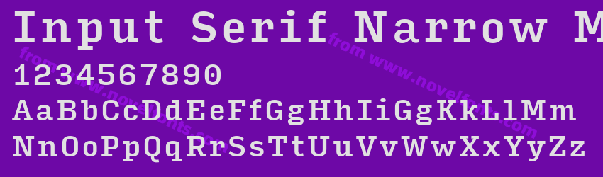 Input Serif Narrow MediumPreview Input Serif Narrow MediumPreview