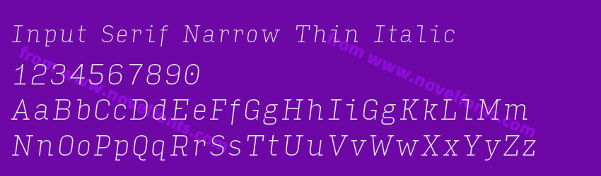 Input Serif Narrow Thin ItalicPreview Input Serif Narrow Thin ItalicPreview
