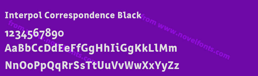 Interpol Correspondence BlackPreview Interpol Correspondence BlackPreview
