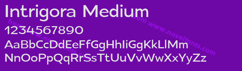 Intrigora MediumPreview Intrigora MediumPreview