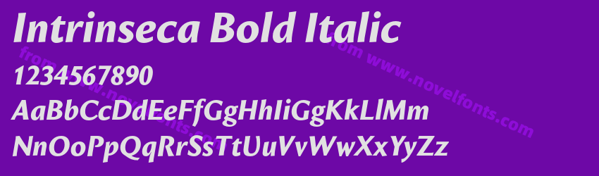 Intrinseca Bold ItalicPreview Intrinseca Bold ItalicPreview