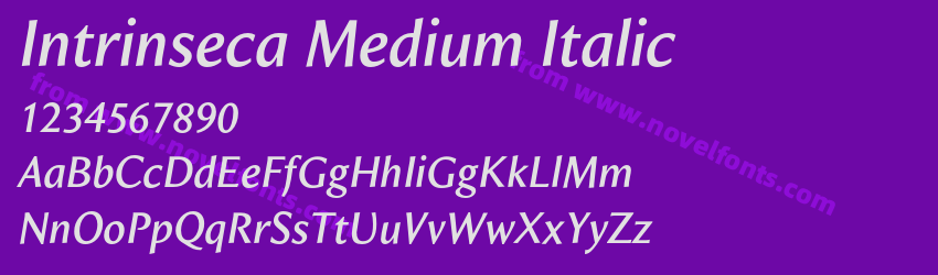 Intrinseca Medium ItalicPreview Intrinseca Medium ItalicPreview