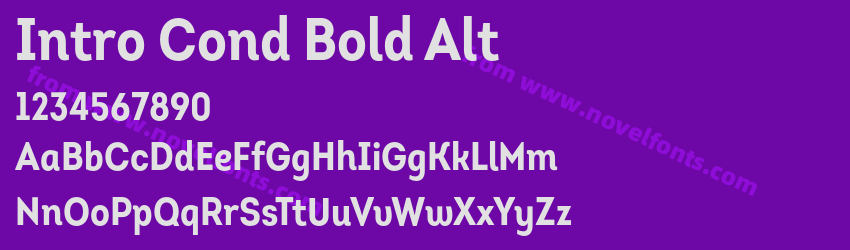 Intro Cond Bold AltPreview Intro Cond Bold AltPreview