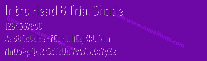 Intro Head B Trial ShadePreview Intro Head B Trial ShadePreview