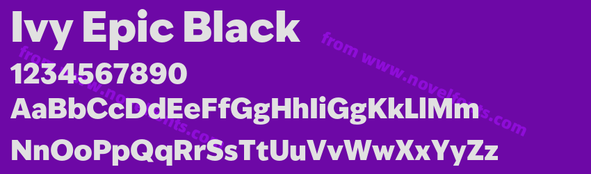 Ivy Epic BlackPreview Ivy Epic BlackPreview