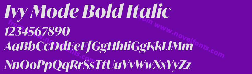 Ivy Mode Bold ItalicPreview Ivy Mode Bold ItalicPreview