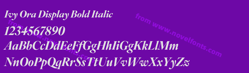 Ivy Ora Display Bold ItalicPreview Ivy Ora Display Bold ItalicPreview