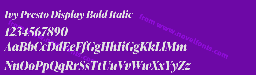Ivy Presto Display Bold ItalicPreview Ivy Presto Display Bold ItalicPreview