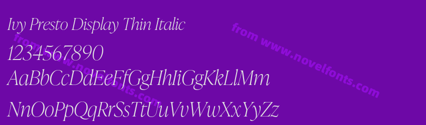 Ivy Presto Display Thin ItalicPreview Ivy Presto Display Thin ItalicPreview