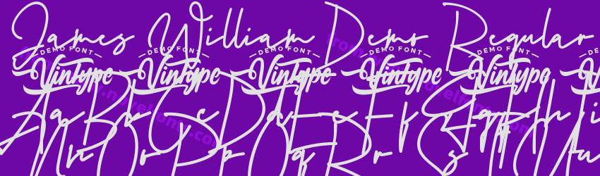 James William Demo RegularPreview James William Demo RegularPreview