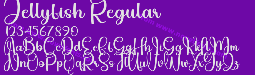 Jellyfish RegularPreview Jellyfish RegularPreview
