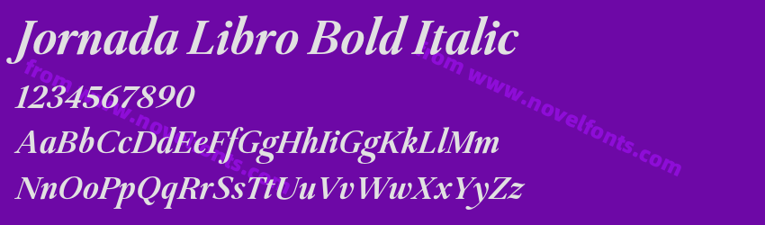 Jornada Libro Bold ItalicPreview Jornada Libro Bold ItalicPreview