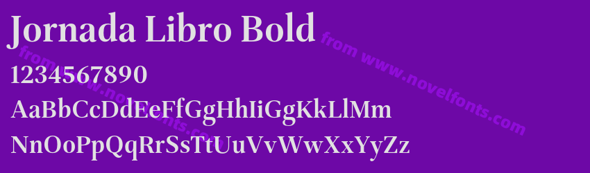 Jornada Libro BoldPreview Jornada Libro BoldPreview