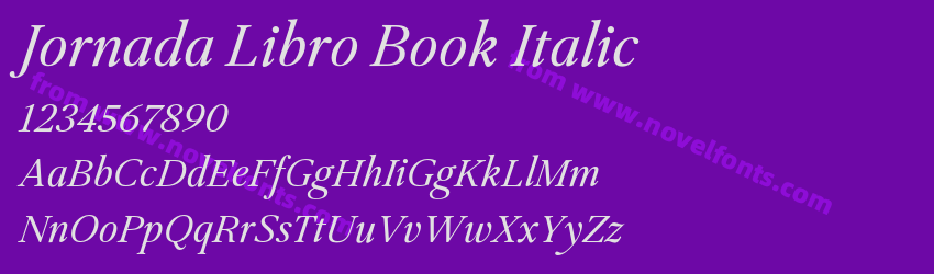 Jornada Libro Book ItalicPreview Jornada Libro Book ItalicPreview