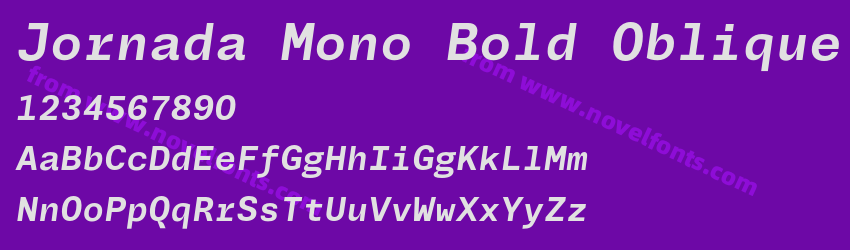 Jornada Mono Bold ObliquePreview Jornada Mono Bold ObliquePreview
