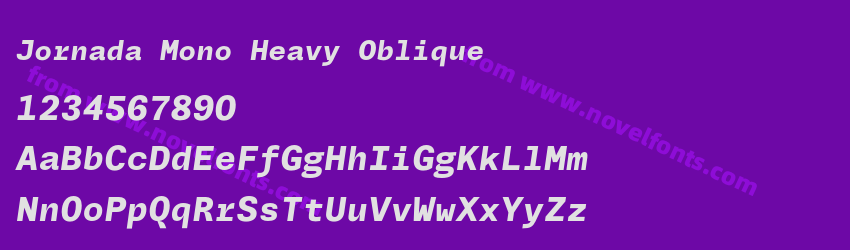 Jornada Mono Heavy ObliquePreview Jornada Mono Heavy ObliquePreview
