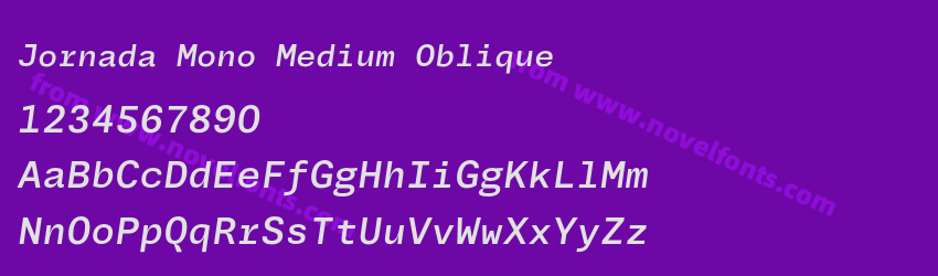 Jornada Mono Medium ObliquePreview Jornada Mono Medium ObliquePreview