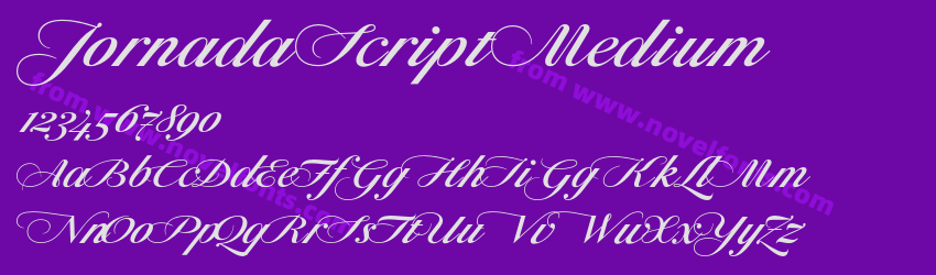 Jornada Script MediumPreview Jornada Script MediumPreview