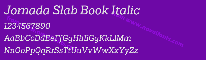 Jornada Slab Book ItalicPreview Jornada Slab Book ItalicPreview