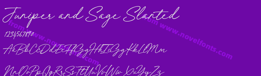 Juniper and Sage SlantedPreview Juniper and Sage SlantedPreview