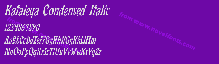 Kataleya Condensed ItalicPreview Kataleya Condensed ItalicPreview