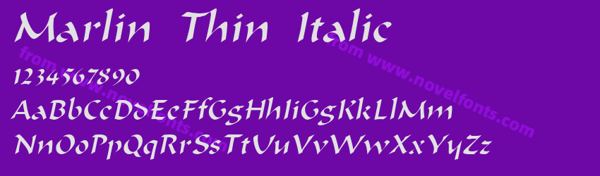 Marlin Thin ItalicPreview