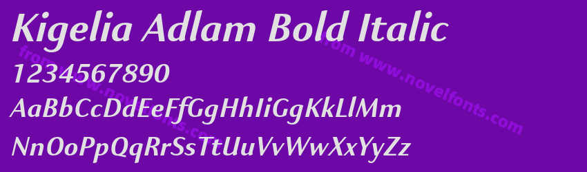 Kigelia Adlam Bold ItalicPreview Kigelia Adlam Bold ItalicPreview