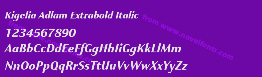Kigelia Adlam Extrabold ItalicPreview Kigelia Adlam Extrabold ItalicPreview
