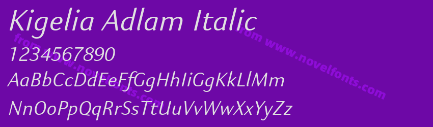 Kigelia Adlam ItalicPreview Kigelia Adlam ItalicPreview