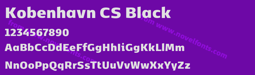 Kobenhavn CS BlackPreview Kobenhavn CS BlackPreview